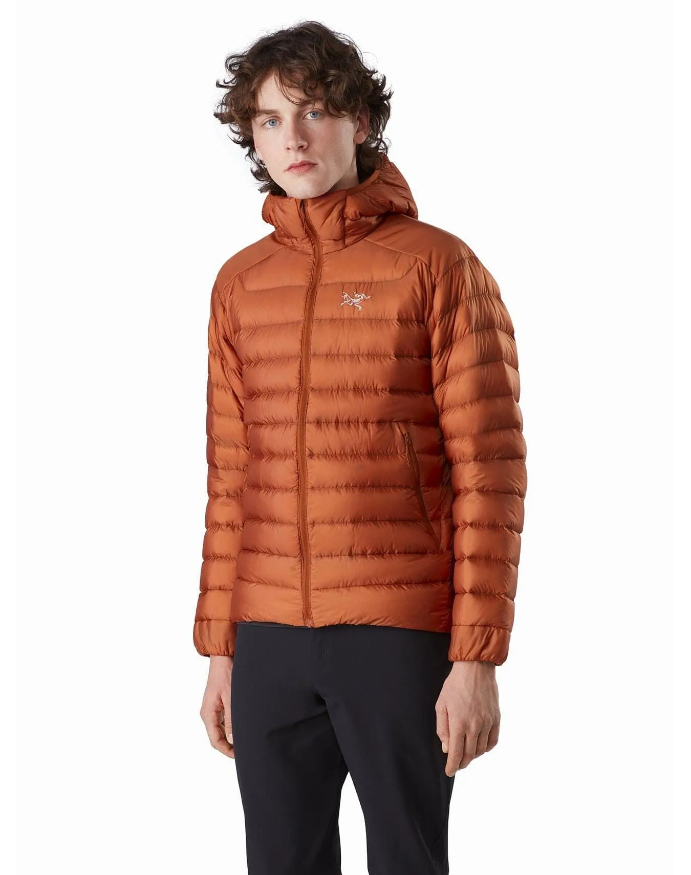 Arc'teryx Men's Cerium LT Hoody
