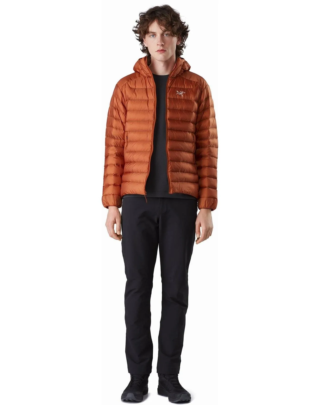 Arc'teryx Men's Cerium LT Hoody