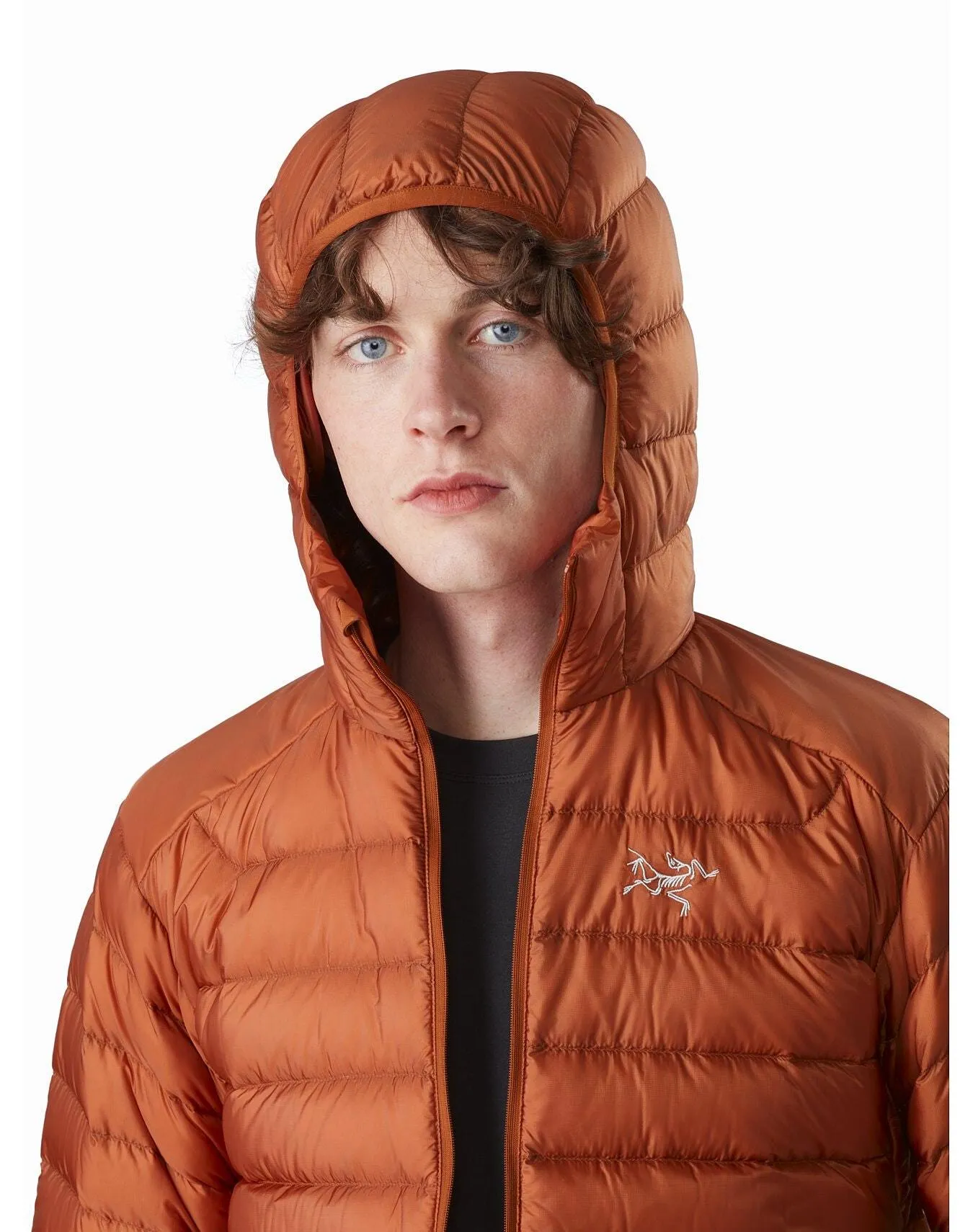 Arc'teryx Men's Cerium LT Hoody